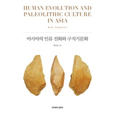 亞洲人類進化與舊石器文化(漢陽學術叢書 12), 裵基棟, 漢陽大學出版部