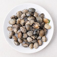 살맛나요 서해안 갯벌 참바지락 (냉장), 600g, 1개