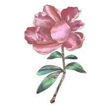 Chainearly 吉他琴頭貼紙 01, 1個