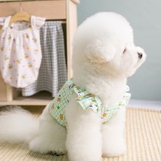 에이미러브즈펫 반려동물 시바 프릴 티셔츠, 그린, 1개