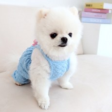 狗狗壓花南瓜連身衣, 天空藍