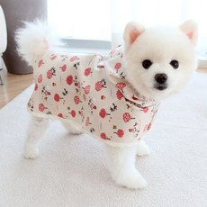 honeydog Puppy Cha Cha Chai Woobi芒果HDJK00343, 紅色