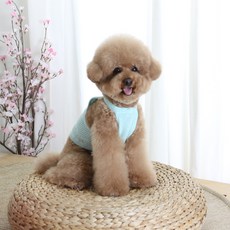 AMYLOVESPET 素色寵物針織背心, 天空