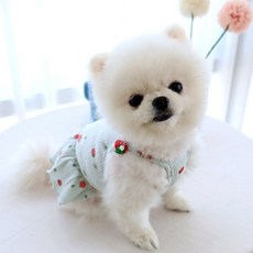 honeydog 狗狗蕾絲草莓連體衣 HDOP00341, 薄荷