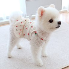 honeydog 狗狗蕾絲草莓連體衣 HDOP00341, 象牙