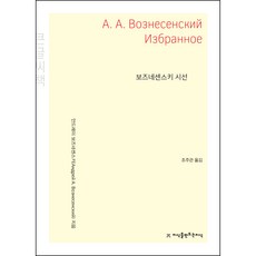 보즈네센스키 시선(큰글씨책), 지식을만드는지식, 안드레이 보즈네센스키