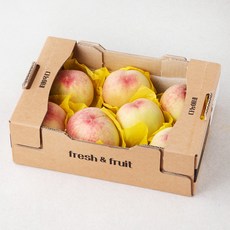 다농이네 부드러운 백도 복숭아, 1.8kg, 1박스