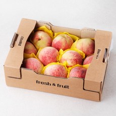 다농이네 부드러운 백도 꼬마 복숭아, 1.8kg, 1박스