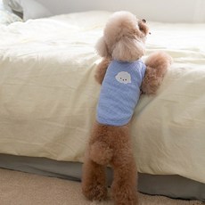 寵物華夫格背心, 藍色