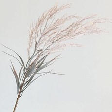 Garden in the City 麥穗, 淺棕色, 1個