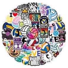 피어니스트 캐리어 노트북 패션 스티커 50종 세트, BA-6, 1세트