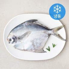 어부네생선가게 국산 병어 (냉동), 200g, 1개