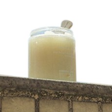 BIOCM Label A Spa 身體磨砂膏芒果, 1個, 300克