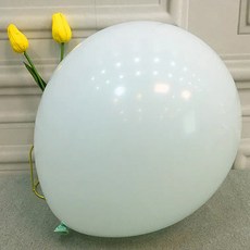 피어니스트 이벤트 장식 일반 풍선, 100개, 그린