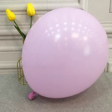 PEONIST 活動裝飾一般氣球, 淺粉色, 100入