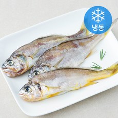 어부네생선가게 국내산 참조기 (냉동), 170g(소, 3미), 1개