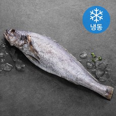 한올레 제주 통민어 (냉동), 400g(특대), 1개