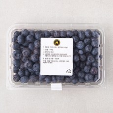 엠팍 미국산 블루베리, 310g, 1개