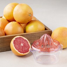 엠파크 남아공 자몽 3kg + 착즙기, 1세트