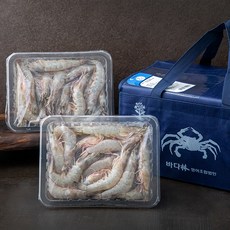 살맛나요 갓 잡은 서해안 생물 새우 선물세트, 2kg, 1세트