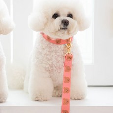 어거스몬 강아지 심플베어 리드줄, 핑크, 1개