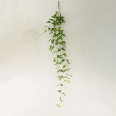 Flouse302 人造懸掛植物 菝葜 XL 120cm, 單一顏色