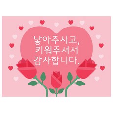 母親節橫幅, 乙