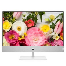 HP Pavilion AiO 일체형PC 내추럴 실버 27-ca1002KR (i5-12400T WIN11 Home RAM 8GB NVMe 512GB RTX 3050), HP 파빌리온 27-ca1002KR, 기본형