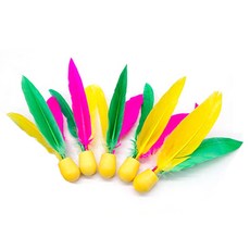 Three Feather板球羽毛球羽毛球, 5個, 1件, 混合顏色