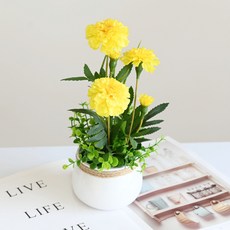 도시정원 조화 메리골드 소품 화분, 옐로우, 1개