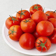좋은농산 GAP 인증 완숙토마토, 1.8kg, 1팩