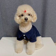 CANICHE 狗狗Polo領T恤 FW版, 海軍藍