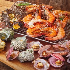 남해안 산지직송 새우 앤 제철조개 캠핑BBQ 세트 1.7kg, 1세트