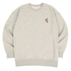 AiR Plane 探頭標準大學T