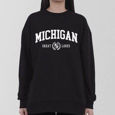 AiR Plane 密西根標準大學T