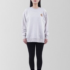 AiR Plane 探頭標準大學T