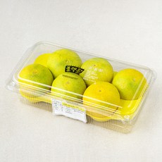 블랙홀 서귀포 황금향, 1개, 1.3kg(5~6입)