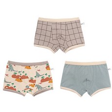 ZYZ 男童 CCN084 內褲 3件組 CCV91BYY109