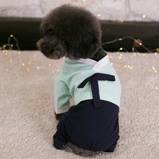 AMYLOVESPET 男款休閒韓服寵物連身衣, 混合顏色