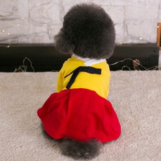 AMYLOVESPET 女款休閒韓服寵物連身裙, 混合顏色