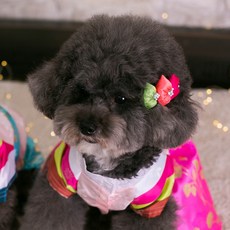 에이미러브즈펫 반려동물 JJ 비단 주머니 핀, 혼합색상, 1개