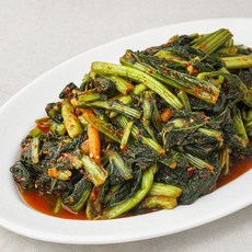 팽현숙 최양락의 핵사이다 갓김치, 1kg, 1개