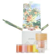 바디럽 퓨어썸 미니 비타 샤워 필터 과일의 시간 4종 세트, 1개, 봄의과일, 여름의과일, 가을의과일, 겨울의바다