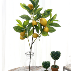 다우에프앤지 레몬 가지 72cm, 혼합색상, 2개