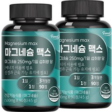 퍼니트 리얼 마그네슘 맥스 45g, 90정, 2개