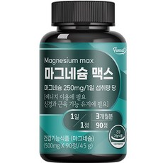 퍼니트 리얼 마그네슘 맥스 45g, 90정, 1개