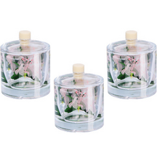 質感設計圓柱形擴香瓶空瓶容器 3入, 100毫升, 透明