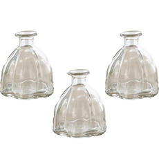 솔브리빙 아로마 테라피 유리 디퓨저 용기 3p, 투명, 100ml