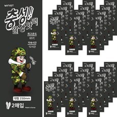 Loyalty 鞋墊型暖暖包 L 90g 2片入, 30包