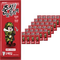 Loyalty 鞋墊型暖暖包 M 70g 2片入, 30包